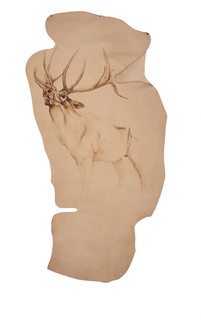 Quando eravamo amabili selvaggi secondo il cervo