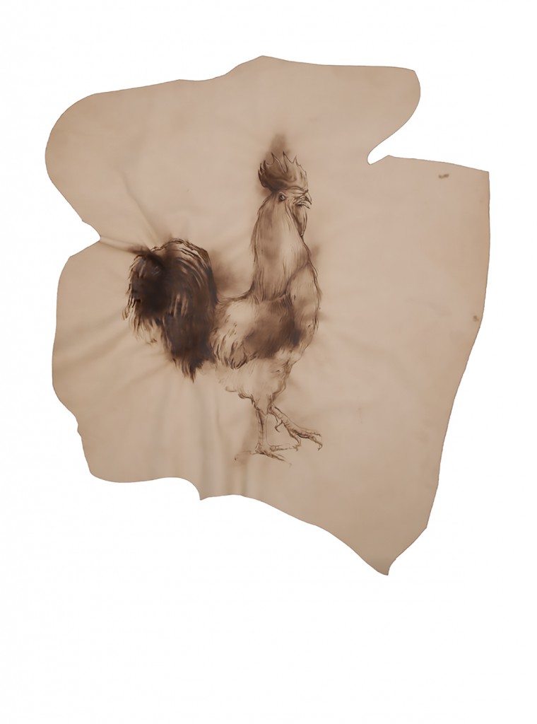 Quando eravamo amabili selvaggi secondo il gallo